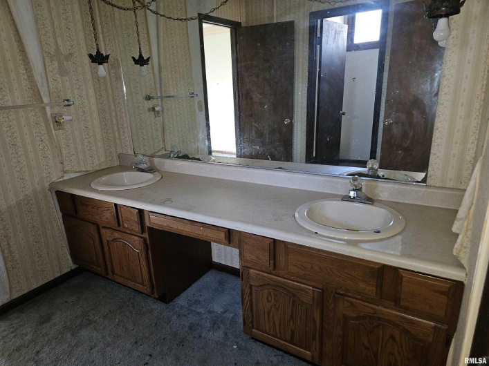 196 APPLE Lane, Carbondale, Illinois 62901, 4 Bedrooms Bedrooms, 0 ,2 BathroomsBathrooms,Residential,For Sale,APPLE,0,RMAEB457071