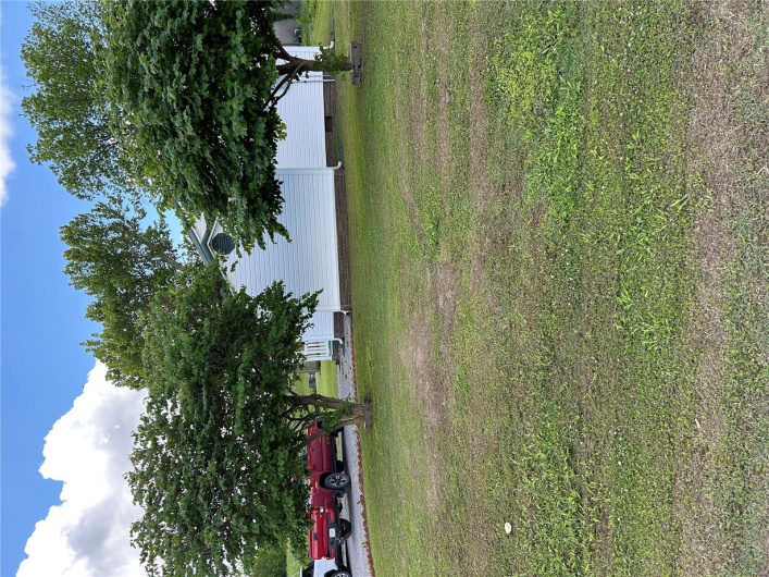 View of green lawn