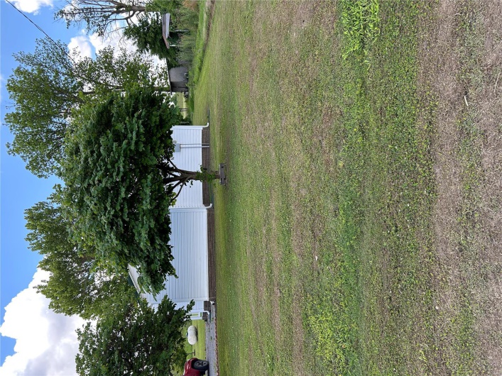 View of grassy yard