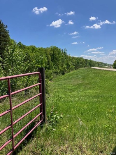 1 US 67, Fredericktown, Missouri 63645, ,Farm,For Sale,US 67,MAR25030807