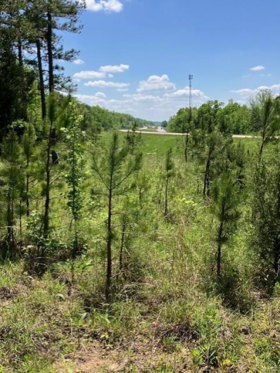 1 US 67, Fredericktown, Missouri 63645, ,Farm,For Sale,US 67,MAR25030807