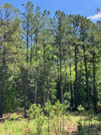 1 US 67, Fredericktown, Missouri 63645, ,Farm,For Sale,US 67,MAR25030807