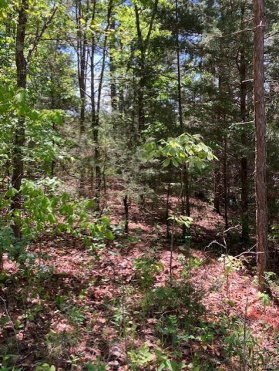 1 US 67, Fredericktown, Missouri 63645, ,Farm,For Sale,US 67,MAR25030807