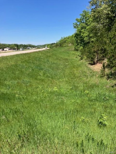 1 US 67, Fredericktown, Missouri 63645, ,Farm,For Sale,US 67,MAR25030807