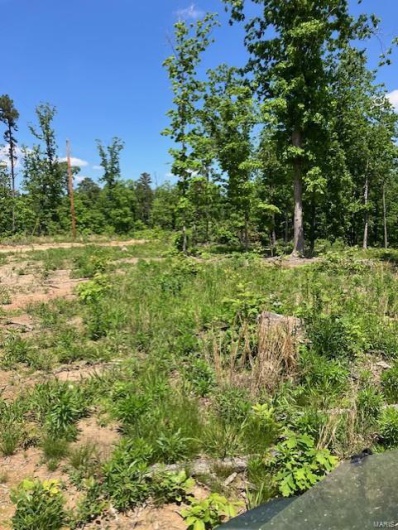 27 Madison CR 410, Fredericktown, Missouri 63645, ,Farm,For Sale,Madison CR 410,MAR25030812