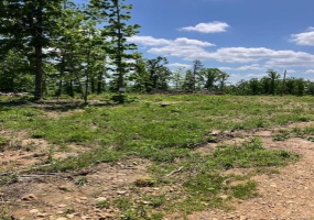 27 Madison CR 410, Fredericktown, Missouri 63645, ,Farm,For Sale,Madison CR 410,MAR25030812