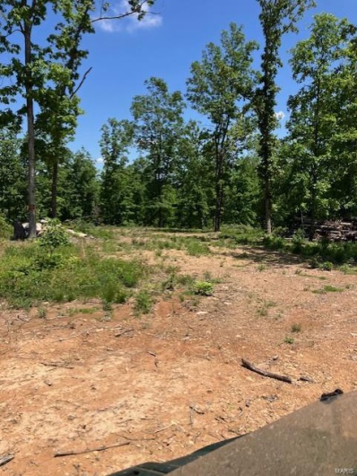 27 Madison CR 410, Fredericktown, Missouri 63645, ,Farm,For Sale,Madison CR 410,MAR25030812