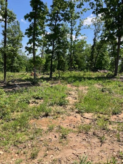 27 Madison CR 410, Fredericktown, Missouri 63645, ,Farm,For Sale,Madison CR 410,MAR25030812