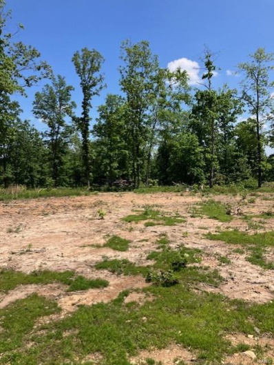 27 Madison CR 410, Fredericktown, Missouri 63645, ,Farm,For Sale,Madison CR 410,MAR25030812