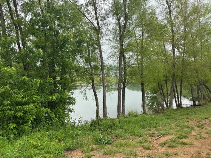 Water view
