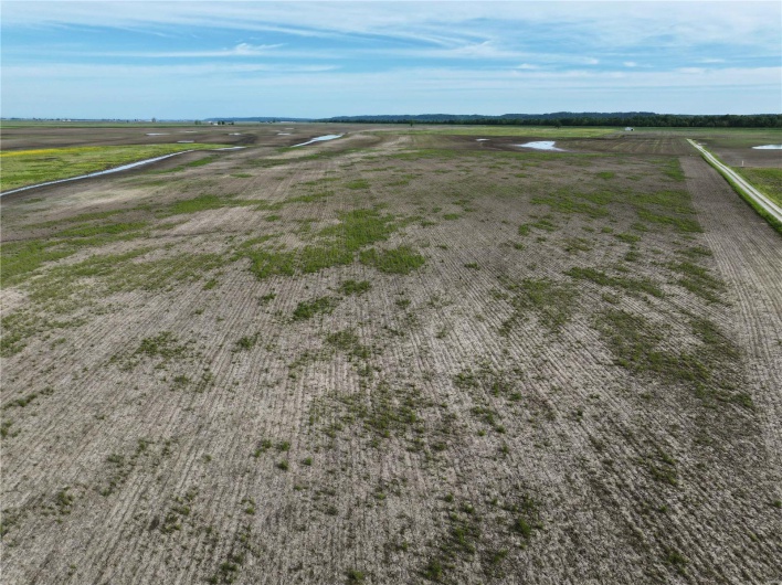 0 County Road 356, Perryville, Missouri 63775, ,Farm,For Sale,County Road 356,MAR25030869