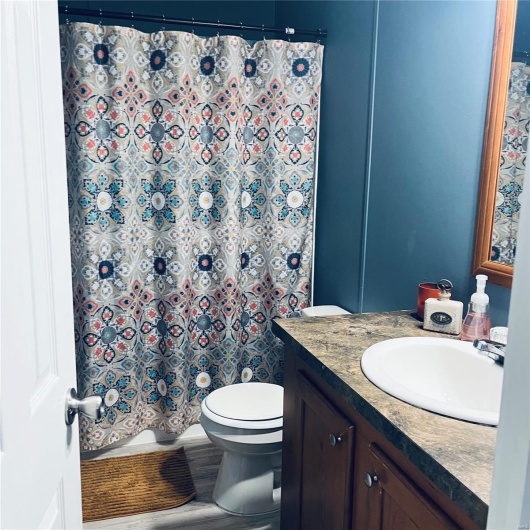 Bathroom featuring toilet, vanity, and a shower with shower curtain