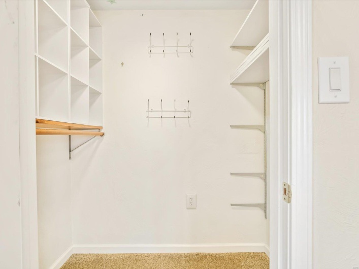 Spacious closet featuring carpet floors