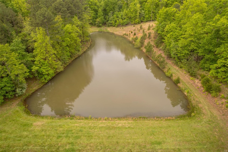 1334 Wayne 366, Piedmont, Missouri 63957, ,Farm,For Sale,Wayne 366,MAR25030128