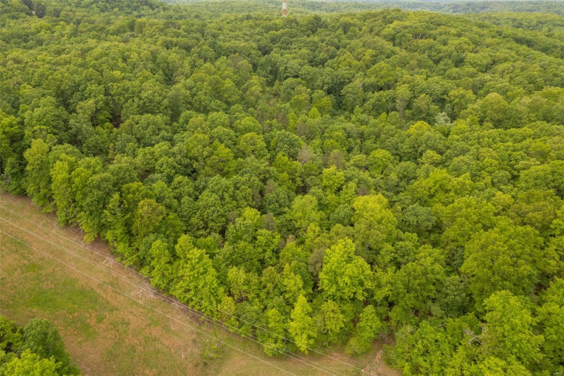 1334 Wayne 366, Piedmont, Missouri 63957, ,Farm,For Sale,Wayne 366,MAR25030128