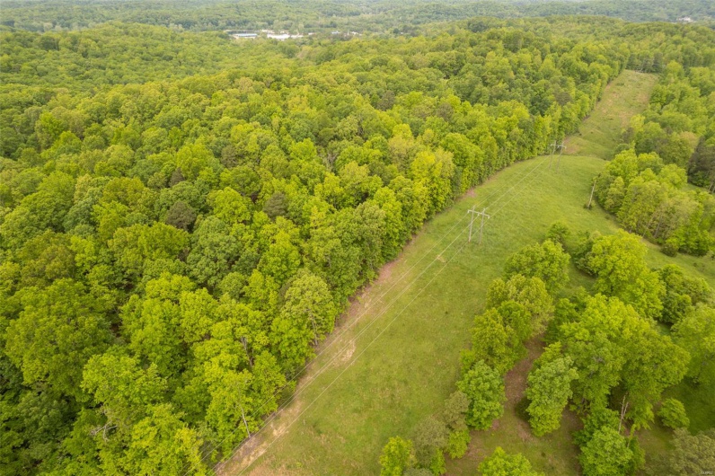 1334 Wayne 366, Piedmont, Missouri 63957, ,Farm,For Sale,Wayne 366,MAR25030128