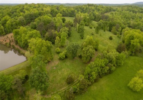 1334 Wayne 366, Piedmont, Missouri 63957, ,Farm,For Sale,Wayne 366,MAR25030128