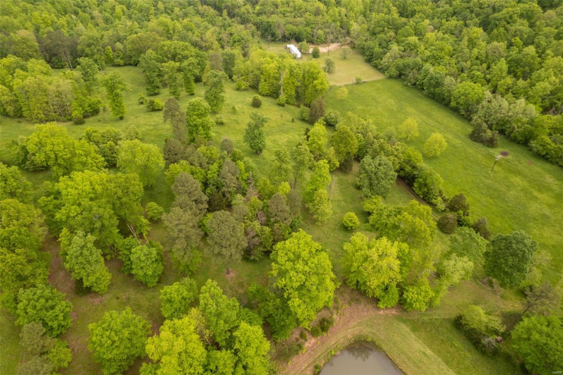 1334 Wayne 366, Piedmont, Missouri 63957, ,Farm,For Sale,Wayne 366,MAR25030128