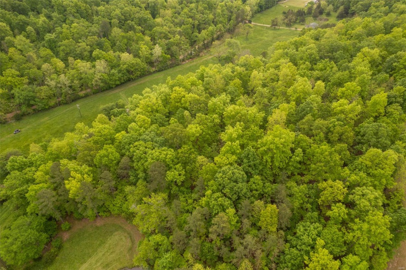 1334 Wayne 366, Piedmont, Missouri 63957, ,Farm,For Sale,Wayne 366,MAR25030128