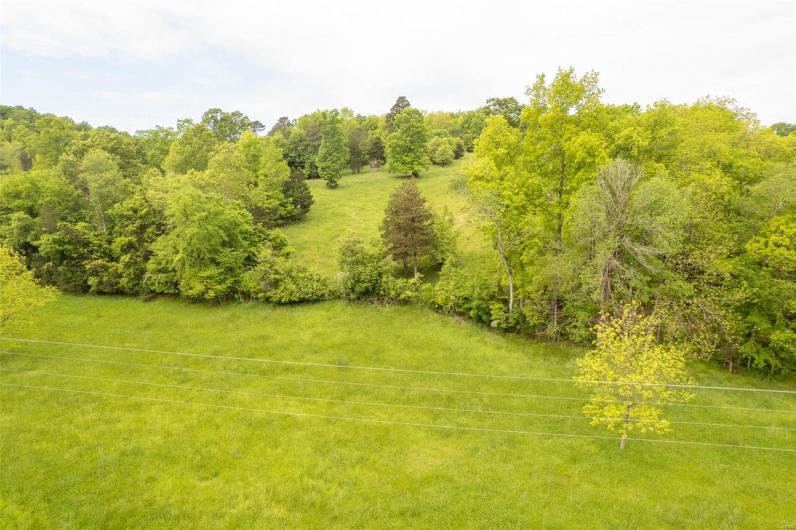 1334 Wayne 366, Piedmont, Missouri 63957, ,Farm,For Sale,Wayne 366,MAR25030128
