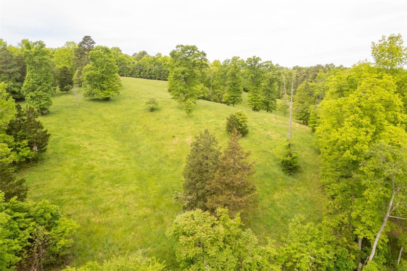 1334 Wayne 366, Piedmont, Missouri 63957, ,Farm,For Sale,Wayne 366,MAR25030128