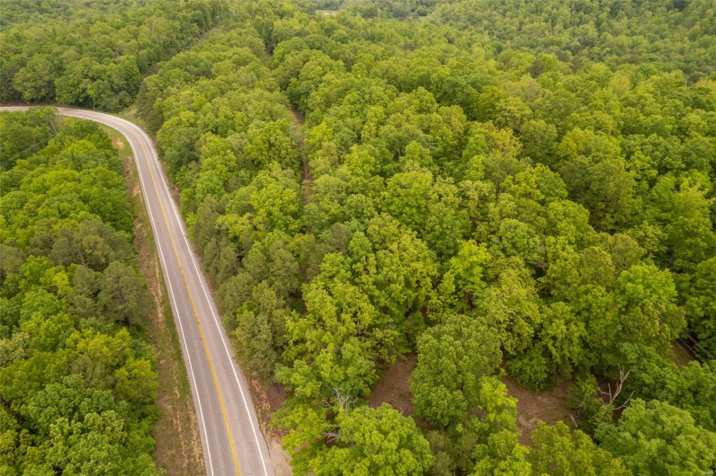 1334 Wayne 366, Piedmont, Missouri 63957, ,Farm,For Sale,Wayne 366,MAR25030128