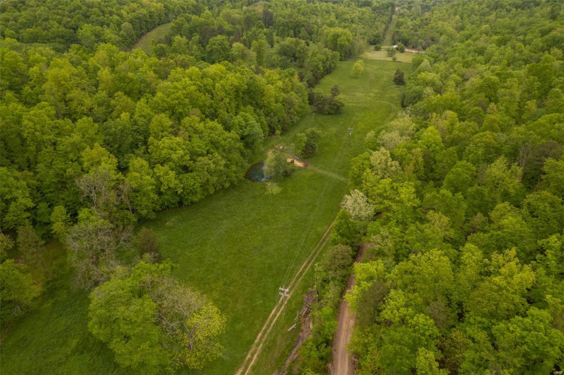 1334 Wayne 366, Piedmont, Missouri 63957, ,Farm,For Sale,Wayne 366,MAR25030128