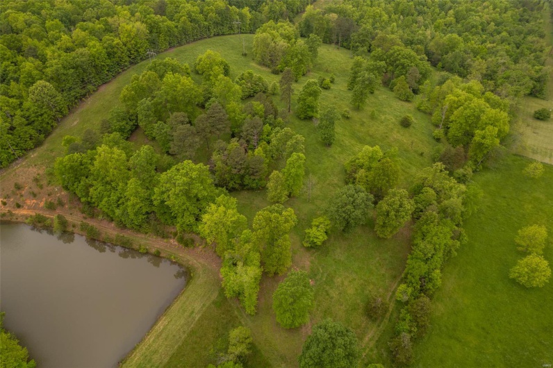1334 Wayne 366, Piedmont, Missouri 63957, ,Farm,For Sale,Wayne 366,MAR25030128