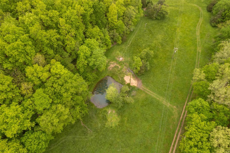 1334 Wayne 366, Piedmont, Missouri 63957, ,Farm,For Sale,Wayne 366,MAR25030128