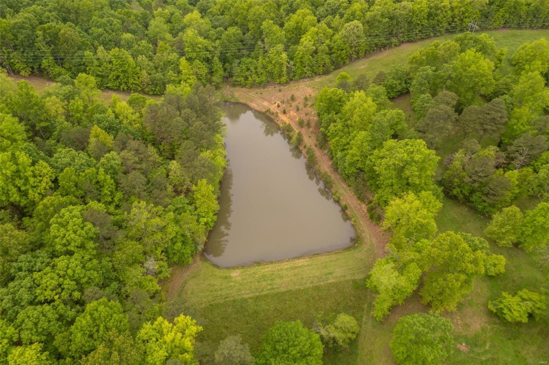 1334 Wayne 366, Piedmont, Missouri 63957, ,Farm,For Sale,Wayne 366,MAR25030128