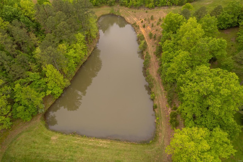 1334 Wayne 366, Piedmont, Missouri 63957, ,Farm,For Sale,Wayne 366,MAR25030128
