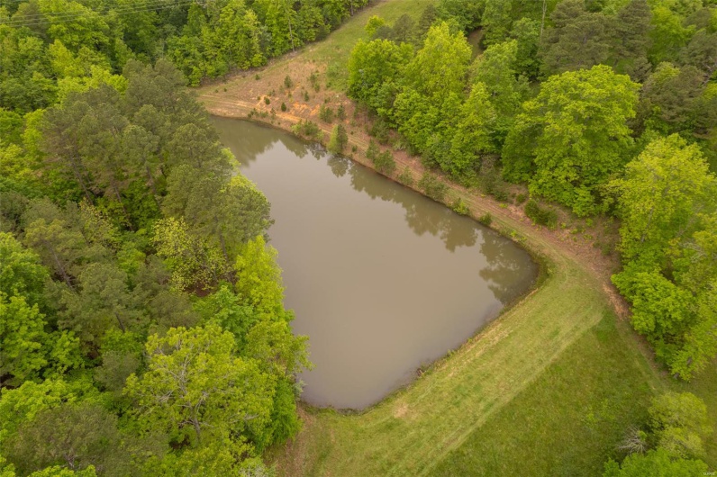 1334 Wayne 366, Piedmont, Missouri 63957, ,Farm,For Sale,Wayne 366,MAR25030128