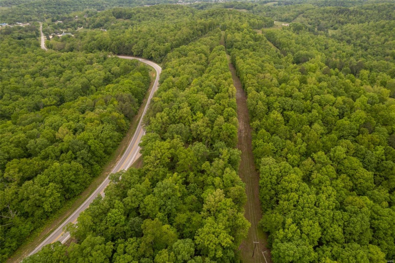 1334 Wayne 366, Piedmont, Missouri 63957, ,Farm,For Sale,Wayne 366,MAR25030128