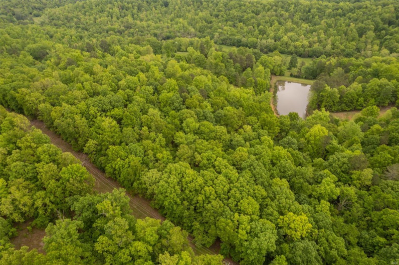 1334 Wayne 366, Piedmont, Missouri 63957, ,Farm,For Sale,Wayne 366,MAR25030128