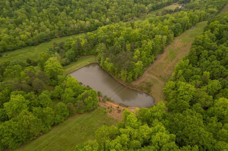 1334 Wayne 366, Piedmont, Missouri 63957, ,Farm,For Sale,Wayne 366,MAR25030128