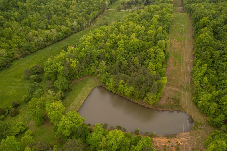 1334 Wayne 366, Piedmont, Missouri 63957, ,Farm,For Sale,Wayne 366,MAR25030128