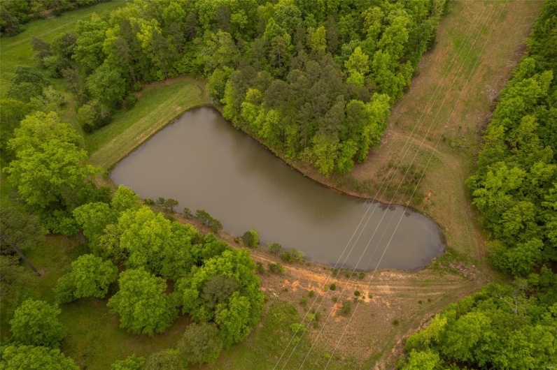 1334 Wayne 366, Piedmont, Missouri 63957, ,Farm,For Sale,Wayne 366,MAR25030128