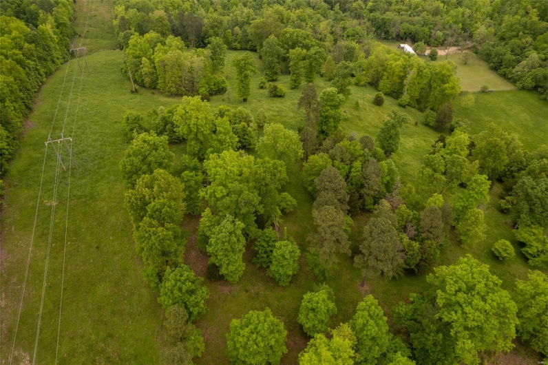1334 Wayne 366, Piedmont, Missouri 63957, ,Farm,For Sale,Wayne 366,MAR25030128