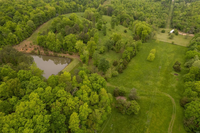 1334 Wayne 366, Piedmont, Missouri 63957, ,Farm,For Sale,Wayne 366,MAR25030128