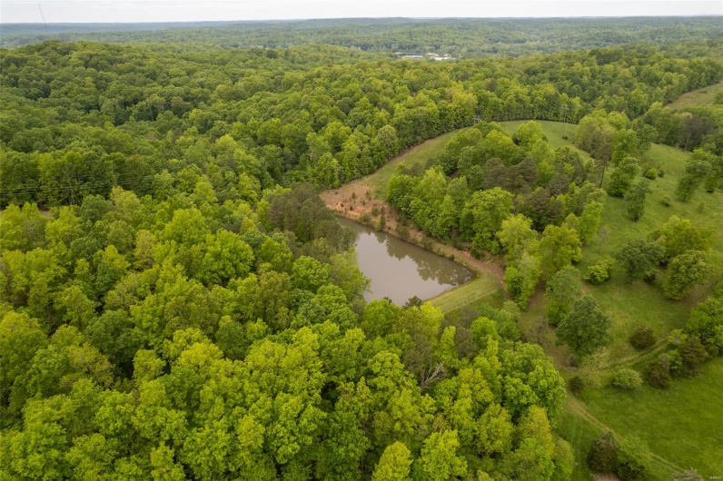 1334 Wayne 366, Piedmont, Missouri 63957, ,Farm,For Sale,Wayne 366,MAR25030128