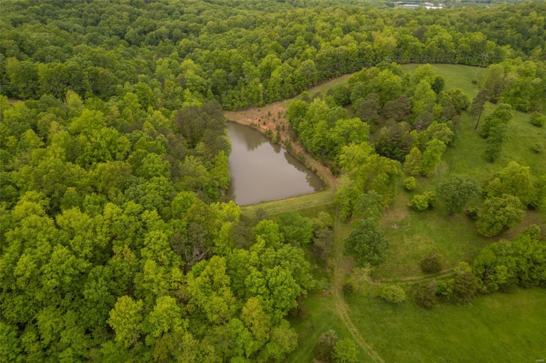 1334 Wayne 366, Piedmont, Missouri 63957, ,Farm,For Sale,Wayne 366,MAR25030128