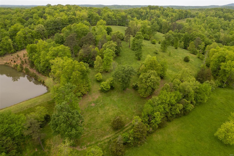 1334 Wayne 366, Piedmont, Missouri 63957, ,Farm,For Sale,Wayne 366,MAR25030128