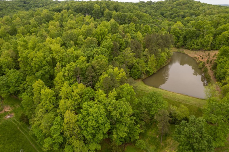 1334 Wayne 366, Piedmont, Missouri 63957, ,Farm,For Sale,Wayne 366,MAR25030128