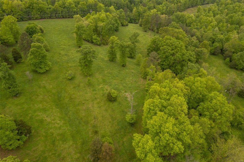 1334 Wayne 366, Piedmont, Missouri 63957, ,Farm,For Sale,Wayne 366,MAR25030128
