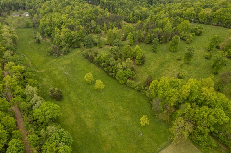1334 Wayne 366, Piedmont, Missouri 63957, ,Farm,For Sale,Wayne 366,MAR25030128