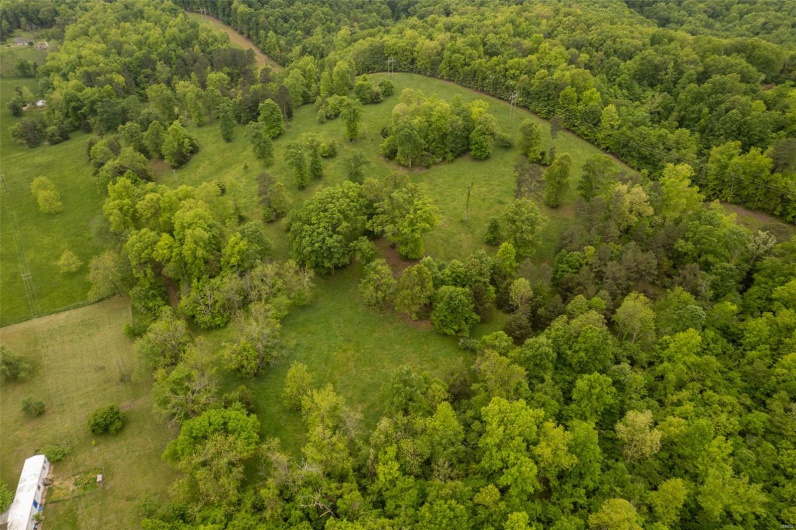 1334 Wayne 366, Piedmont, Missouri 63957, ,Farm,For Sale,Wayne 366,MAR25030128