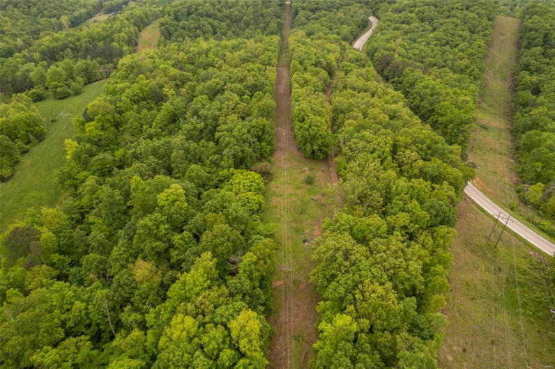 1334 Wayne 366, Piedmont, Missouri 63957, ,Farm,For Sale,Wayne 366,MAR25030128