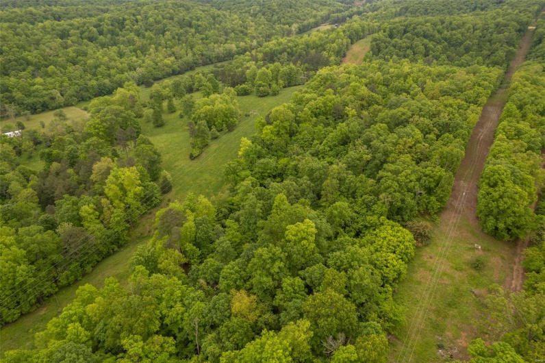 1334 Wayne 366, Piedmont, Missouri 63957, ,Farm,For Sale,Wayne 366,MAR25030128