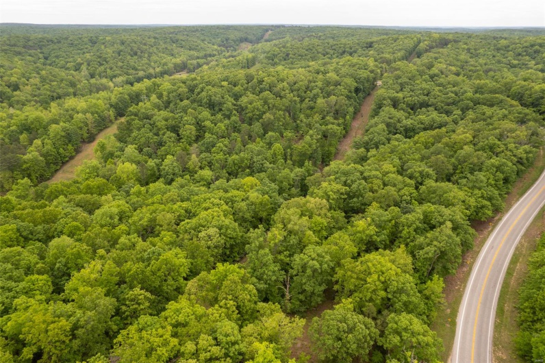 1334 Wayne 366, Piedmont, Missouri 63957, ,Farm,For Sale,Wayne 366,MAR25030128