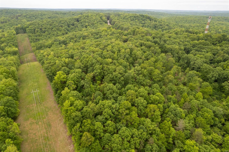 1334 Wayne 366, Piedmont, Missouri 63957, ,Farm,For Sale,Wayne 366,MAR25030128